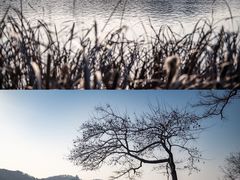 -东湖落雁景区