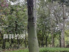 -广州雕塑公园