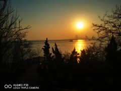 -星海湾跨海大桥