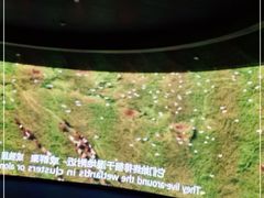 -中国湿地博物馆