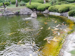-新高轮格兰王子大酒店