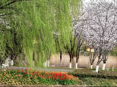 -长田漾湿地公园