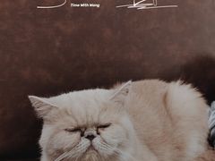 -Double cafe