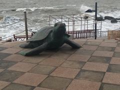 -养马岛旅游度假区