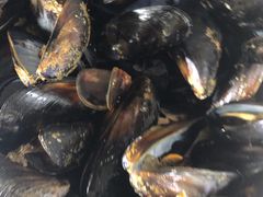 -宾朋海鲜特色美食餐厅·纯手工鲅鱼水饺(兴海路店)