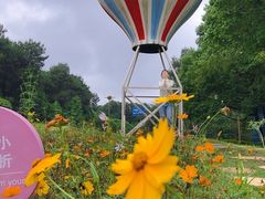 -铁山坪森林公园