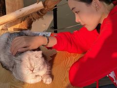 -豆逗聊愈猫阁Easy Life