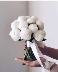 -禧趣婚礼