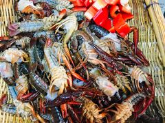 -五里多农博广场