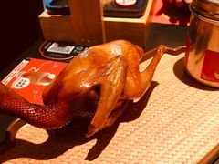 -羽鸽集·乳鸽专门店·地道顺德菜(岭南站店)