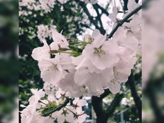 -上海南浦大桥长途旅游客运站