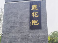 -莲花池公园