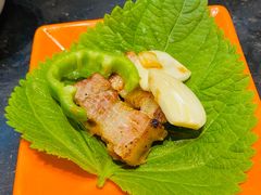 精选厚切五花肉-老熟人烤肉城(马家堡店)