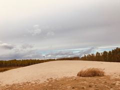-东郊湿地公园