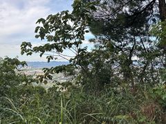 -铁山坪森林公园