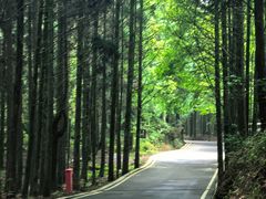 -山王坪喀斯特国家生态公园