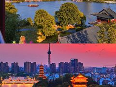 -溱湖国家湿地公园