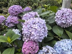 -常州古运河南大街文化旅游区-人民公园