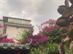 -院8里·少城记忆老川菜(宽窄巷子店)