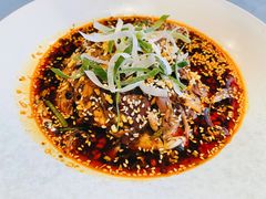 南堂红油土鸡片-南堂館川菜文化餐厅(天府店)