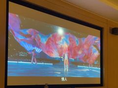 -金色印象·HiFi影音·按摩足疗PLUS(黄泥磅店)