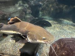 -太平洋海底世界