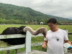 -瑞穗牧场