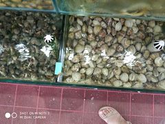 -叶存利海鲜大馅饺子(东戴河止锚湾店)
