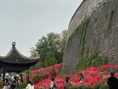 -好一朵茉莉花(老门东店)