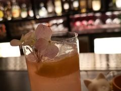 -Catail前苑(前门大街店)