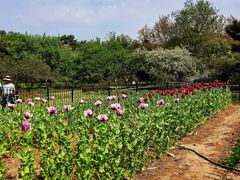 -国家植物园南园