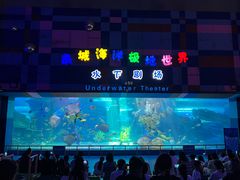 -泉城欧乐堡海洋极地世界