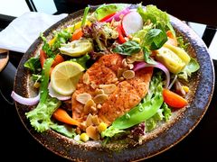 营养餐-康斐斯健身