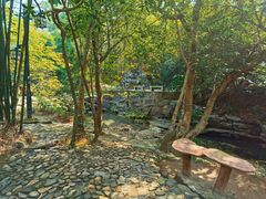 -大屏嶂森林公园