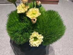 -南堂馆·新川菜(春熙路店)