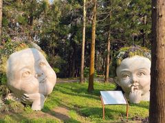 -东平国家森林公园