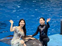 -合肥海洋世界