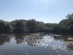 -白马涧龙池景区
