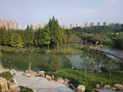 -青枫公园