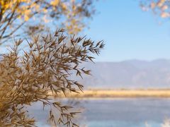 -野鸭湖国家湿地公园