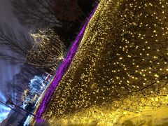 -长春世界雕塑园冰雪艺术天地