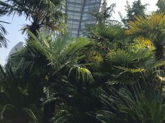 -东怡大酒店(上海科技馆店)