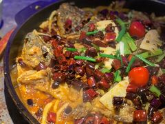 -老板恋上鱼(恒隆广场店)