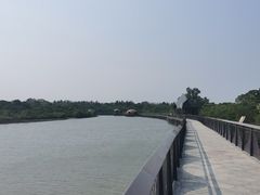 -东寨港红树林旅游区