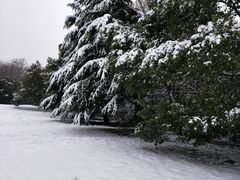 -春兰国宾馆(凤城河风景区老街店)