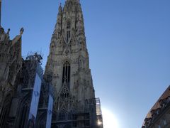 -斯蒂芬主教座堂(Stephansdom)