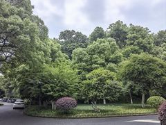 -浙江宾馆·花园餐厅·自助餐厅·茶吧