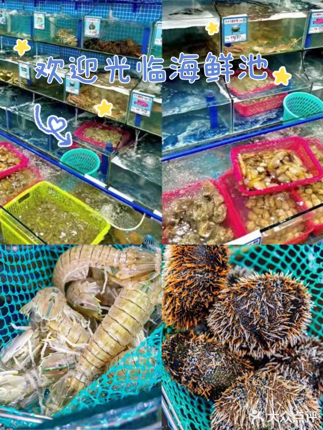 三亚探店/土著人推荐回头客海鲜店  