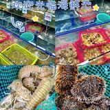 三亚探店/土著人推荐回头客海鲜店  