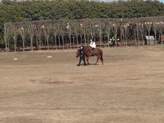 -武汉紫薇都市田园